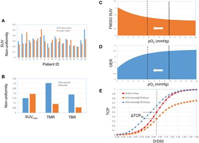 Rethinking the potential role of dose painting in personalized ultra-fractionated stereotactic adaptive radiotherapy